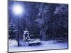 Bench, Christmastree and Lantern-Adam1975-Mounted Photographic Print