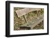 bench close autumn foliage.-Roland T. Frank-Framed Photographic Print