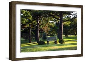 Bench I-Tammy Putman-Framed Photographic Print