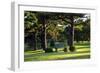 Bench I-Tammy Putman-Framed Photographic Print