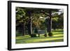 Bench I-Tammy Putman-Framed Photographic Print