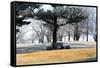 Bench II-Tammy Putman-Framed Stretched Canvas