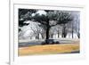 Bench II-Tammy Putman-Framed Photographic Print