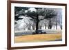 Bench II-Tammy Putman-Framed Photographic Print