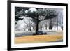 Bench II-Tammy Putman-Framed Photographic Print