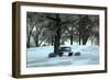 Bench III-Tammy Putman-Framed Photographic Print