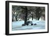 Bench III-Tammy Putman-Framed Photographic Print