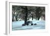 Bench III-Tammy Putman-Framed Photographic Print