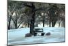 Bench III-Tammy Putman-Mounted Photographic Print