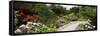 Bench in a Garden, Olbrich Botanical Gardens, Madison, Wisconsin, USA-null-Framed Stretched Canvas