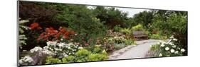 Bench in a Garden, Olbrich Botanical Gardens, Madison, Wisconsin, USA-null-Mounted Photographic Print