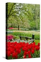 Bench in Garden Keukenhof-neirfy-Stretched Canvas