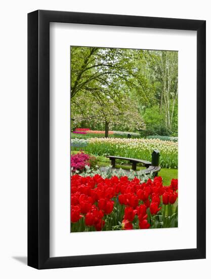Bench in Garden Keukenhof-neirfy-Framed Photographic Print