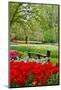 Bench in Garden Keukenhof-neirfy-Mounted Photographic Print