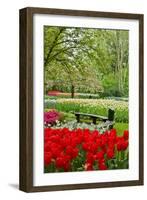 Bench in Garden Keukenhof-neirfy-Framed Photographic Print