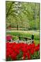 Bench in Garden Keukenhof-neirfy-Mounted Photographic Print