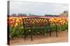 Bench in Tulip Field-TamiFreed-Stretched Canvas