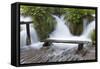 Bench in Water, Plitvice Lakes, Plitvicka Jezera, Croatia-Martin Zwick-Framed Stretched Canvas