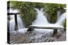 Bench in Water, Plitvice Lakes, Plitvicka Jezera, Croatia-Martin Zwick-Stretched Canvas