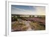 Bench Overlooking Landspace and Flowering Common Heather (Calluna Vulgaris) Dorset, England, UK-Ross Hoddinott-Framed Photographic Print