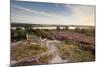 Bench Overlooking Landspace and Flowering Common Heather (Calluna Vulgaris) Dorset, England, UK-Ross Hoddinott-Mounted Photographic Print