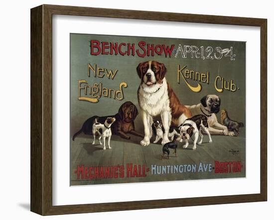 Bench Show, New England Kennel Club-null-Framed Giclee Print