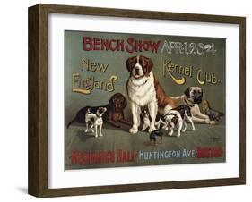 Bench Show, New England Kennel Club-null-Framed Giclee Print