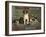 Bench Show, New England Kennel Club-null-Framed Giclee Print