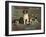 Bench Show, New England Kennel Club-null-Framed Giclee Print