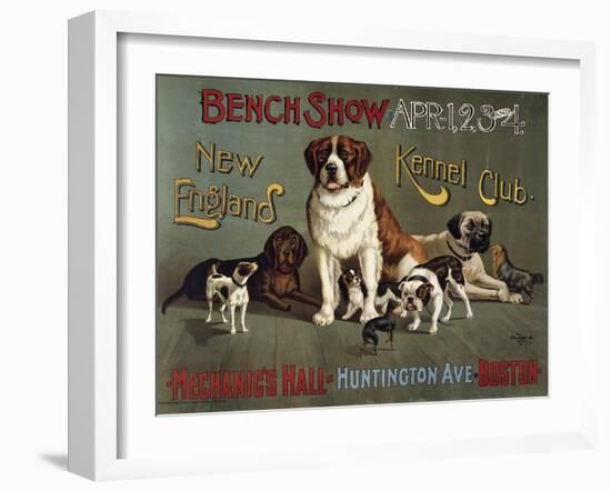 Bench Show, New England Kennel Club-null-Framed Giclee Print