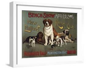 Bench Show, New England Kennel Club-null-Framed Giclee Print