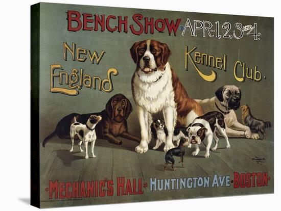 Bench Show, New England Kennel Club-null-Stretched Canvas