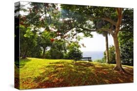 Bench Under a Flamboyan, Borinquen, Puerto Rico-George Oze-Stretched Canvas