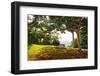 Bench Under a Flamboyan, Borinquen, Puerto Rico-George Oze-Framed Photographic Print