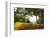 Bench Under a Flamboyan, Borinquen, Puerto Rico-George Oze-Framed Photographic Print