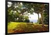 Bench Under a Flamboyan, Borinquen, Puerto Rico-George Oze-Framed Photographic Print