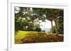 Bench Under a Flamboyan, Borinquen, Puerto Rico-George Oze-Framed Photographic Print