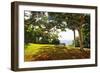 Bench Under a Flamboyan, Borinquen, Puerto Rico-George Oze-Framed Photographic Print