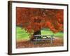 Bench under Maple in Autumn, West Park, New York City, USA-Jaynes Gallery-Framed Photographic Print