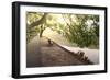 Bench under Tree Canopy at West Lake Shore in Hangzhou, Zhejiang, China, Asia-Andreas Brandl-Framed Photographic Print