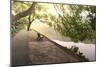 Bench under Tree Canopy at West Lake Shore in Hangzhou, Zhejiang, China, Asia-Andreas Brandl-Mounted Photographic Print