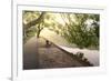 Bench under Tree Canopy at West Lake Shore in Hangzhou, Zhejiang, China, Asia-Andreas Brandl-Framed Photographic Print