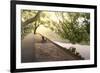 Bench under Tree Canopy at West Lake Shore in Hangzhou, Zhejiang, China, Asia-Andreas Brandl-Framed Photographic Print