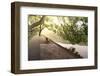 Bench under Tree Canopy at West Lake Shore in Hangzhou, Zhejiang, China, Asia-Andreas Brandl-Framed Photographic Print