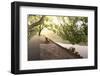 Bench under Tree Canopy at West Lake Shore in Hangzhou, Zhejiang, China, Asia-Andreas Brandl-Framed Photographic Print