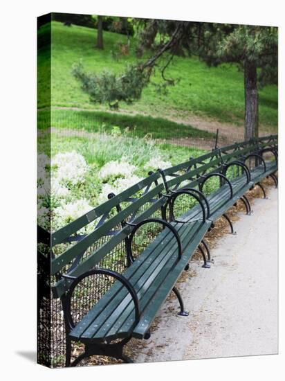 Benches, Central Park, Manhattan-Amanda Hall-Stretched Canvas