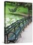 Benches, Central Park, Manhattan-Amanda Hall-Stretched Canvas