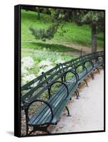 Benches, Central Park, Manhattan-Amanda Hall-Framed Stretched Canvas