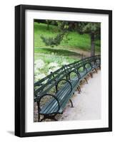 Benches, Central Park, Manhattan-Amanda Hall-Framed Photographic Print