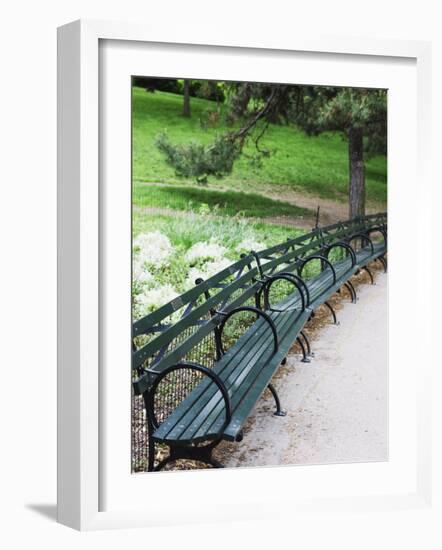 Benches, Central Park, Manhattan-Amanda Hall-Framed Photographic Print